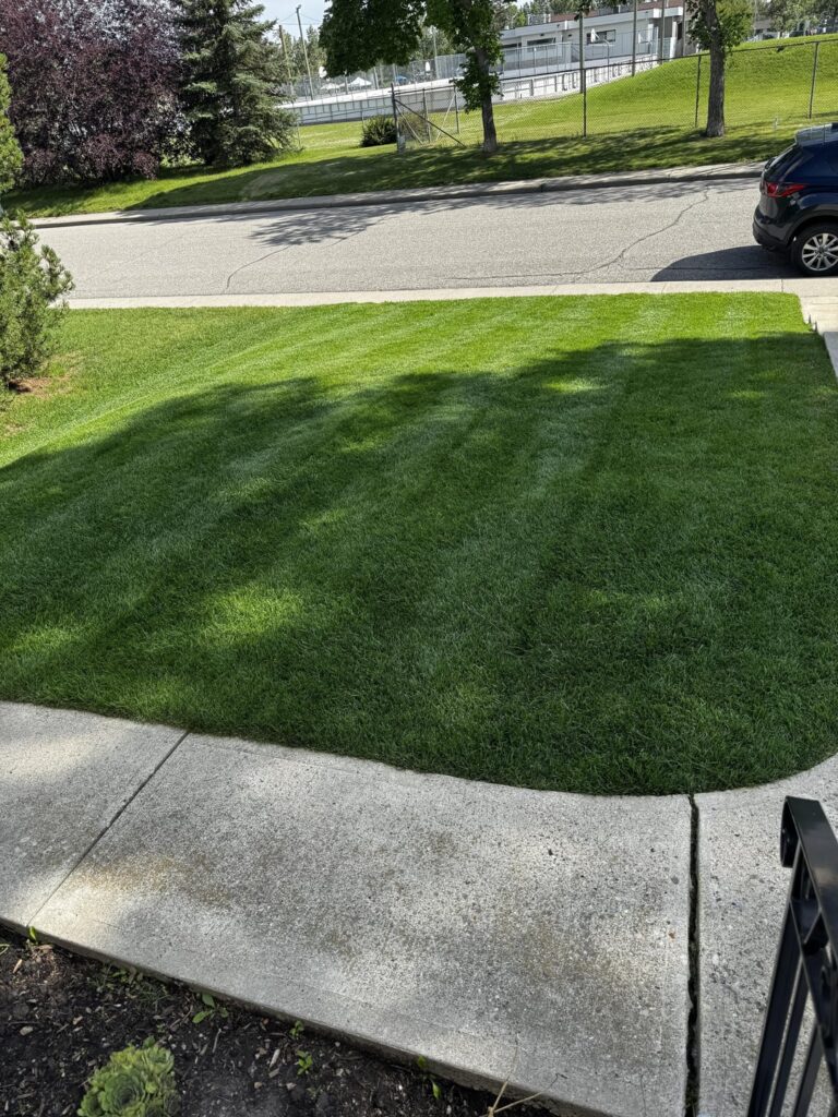 4 Month Transformation