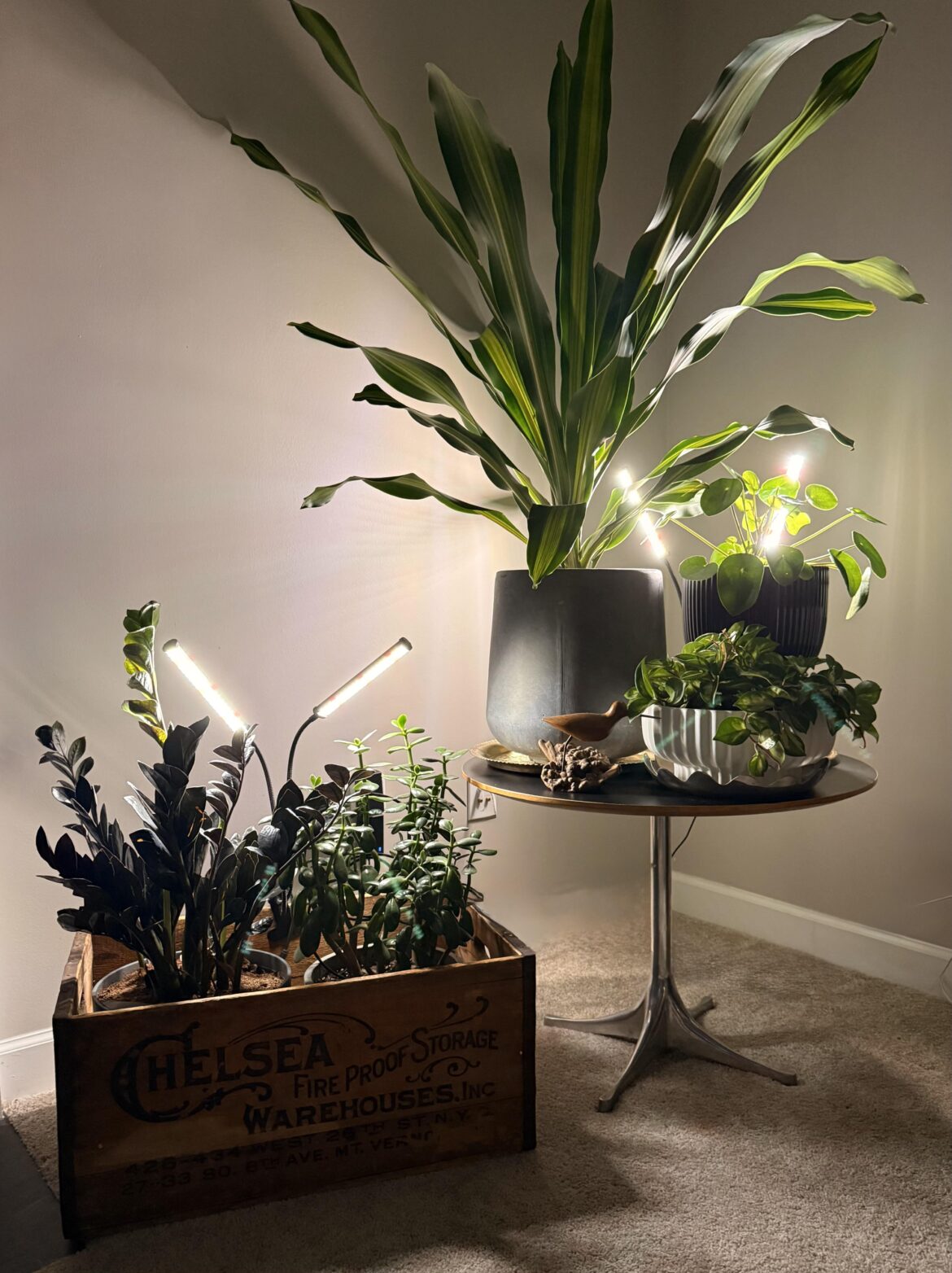 The corner in my house where all the cool kids hang out after dark.