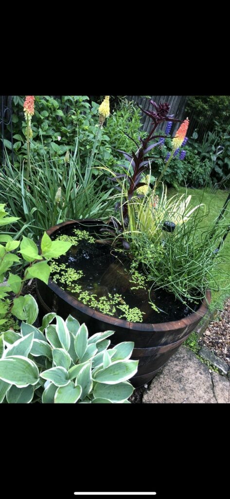 Showing off my half barrel