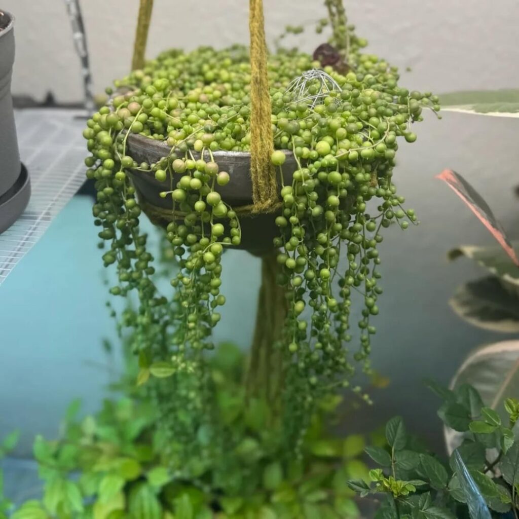 2 years of progress