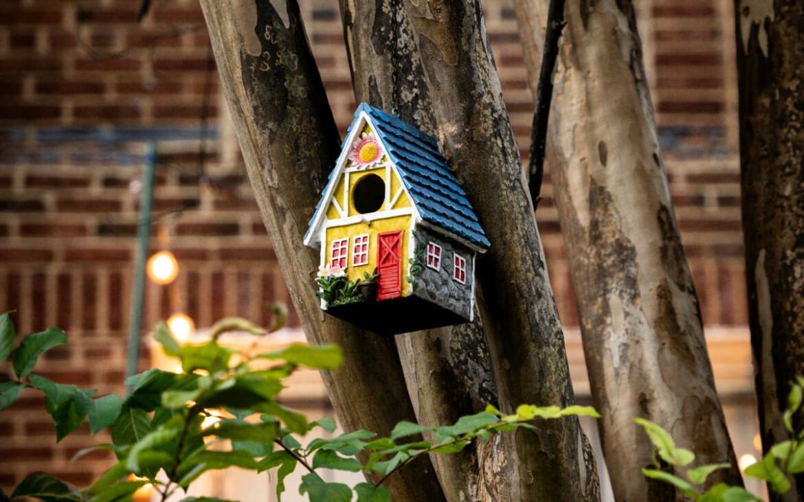 Best decorative birdhouses to enhance garden charm and support wildlife