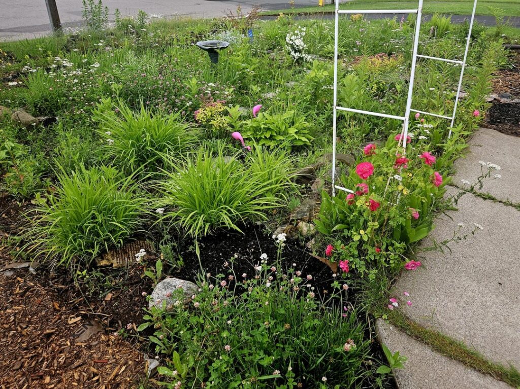 No lawn, no problem 😎 some neighbour's love it, some not so much. I'm about 90% of the way there!
