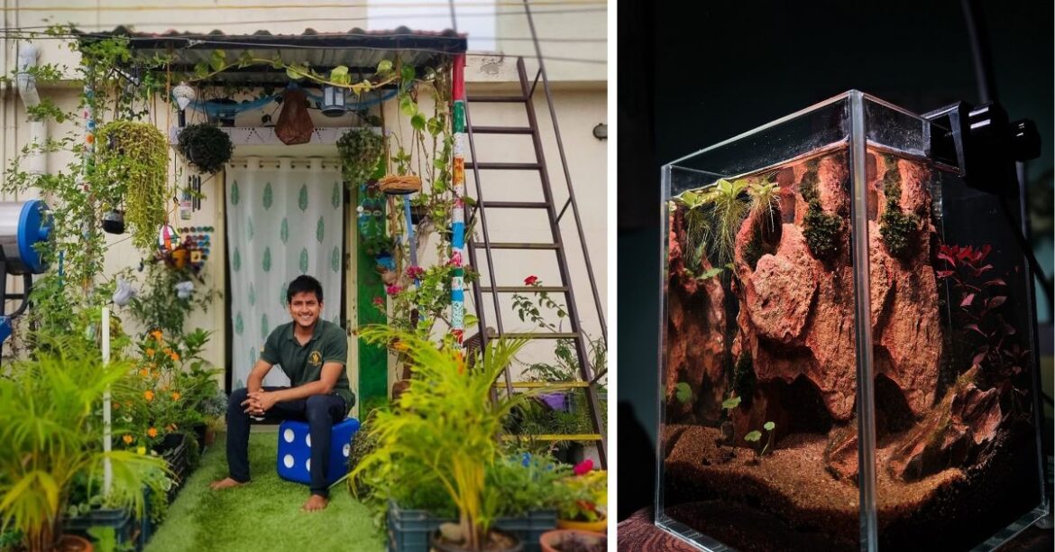 While You Were Doomscrolling, This B’luru Guy Built a 500-Plant Jungle In His Home After Work