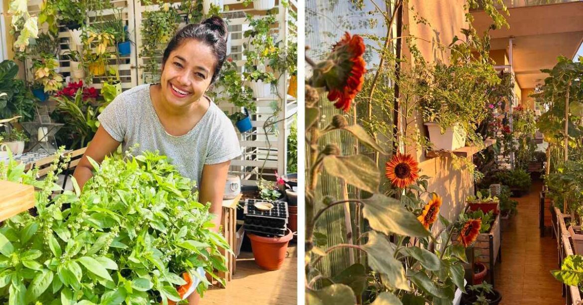 This Bengaluru Woman Grew a Garden With 500 Plants! ‘You Can’t Grow a Garden in an Apartment’: This Bengaluru Woman & Her 500 Plants Will Prove You Wrong