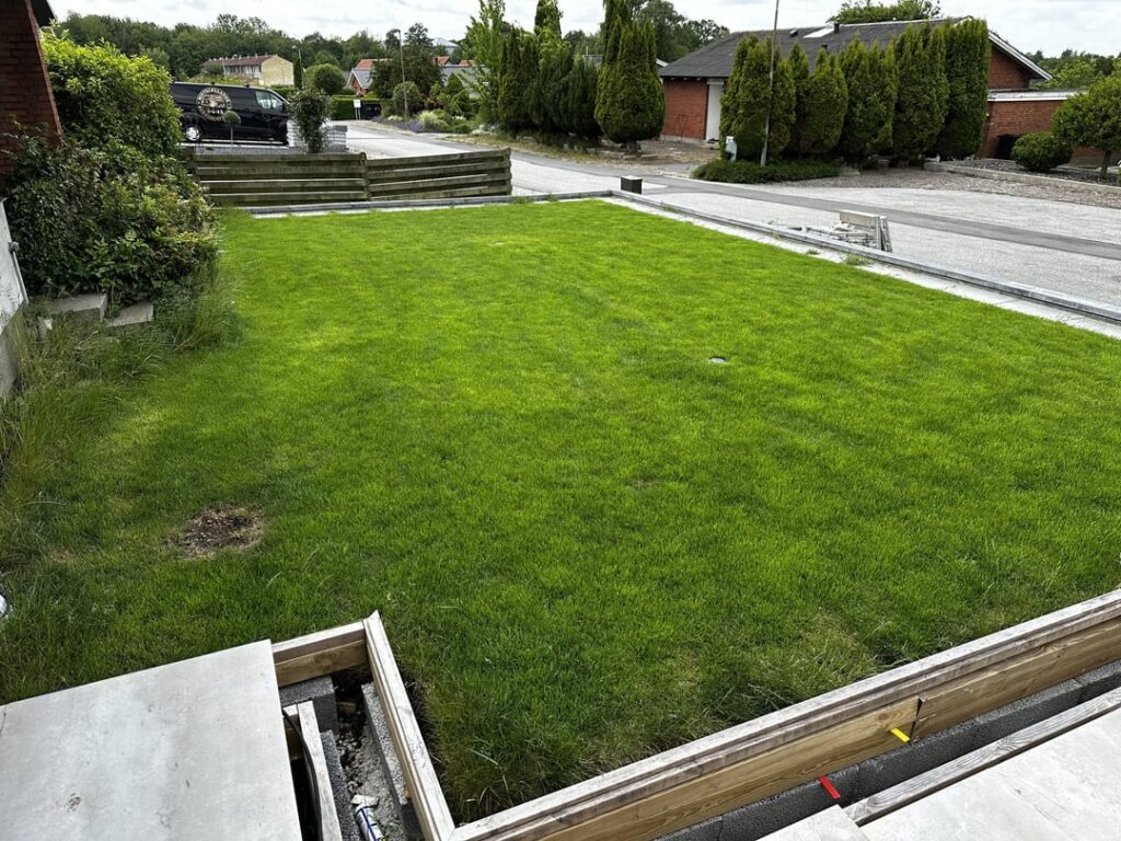 I’m worried. Please tell me that this lawn (Denmark) will recover.. I’m worried. Please tell me that this lawn (Denmark) will recover..