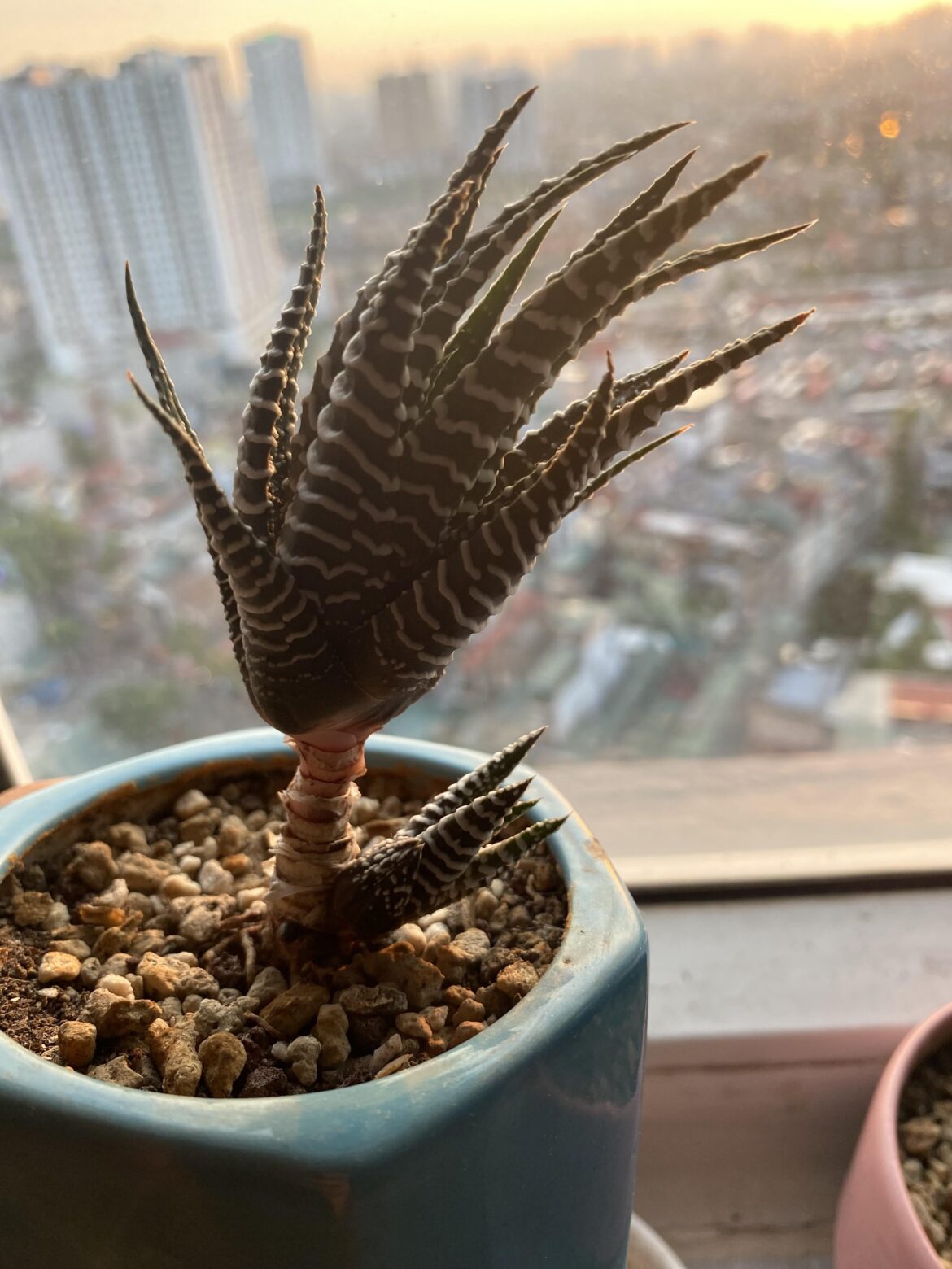 How long should I wait until propagation?