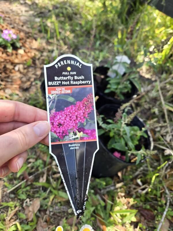 "No matter how diligent you try to be, it won't be enough."