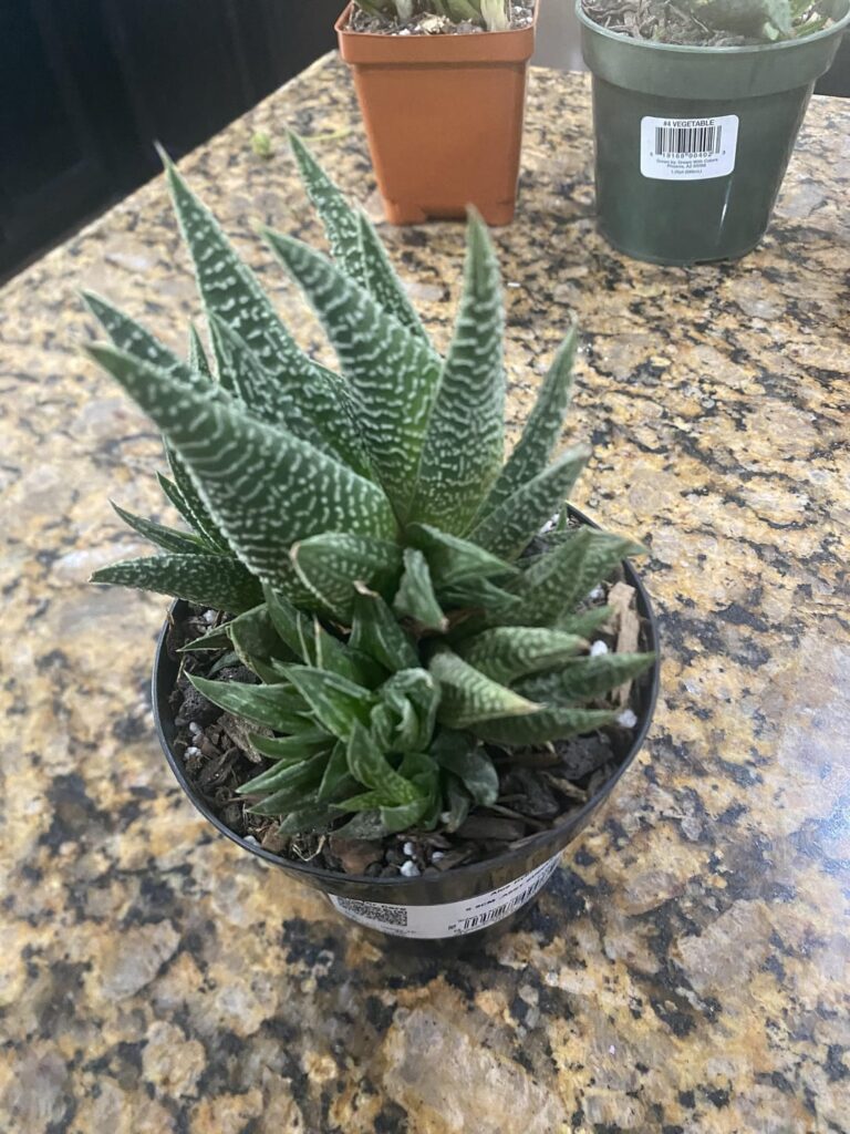 With with possible id