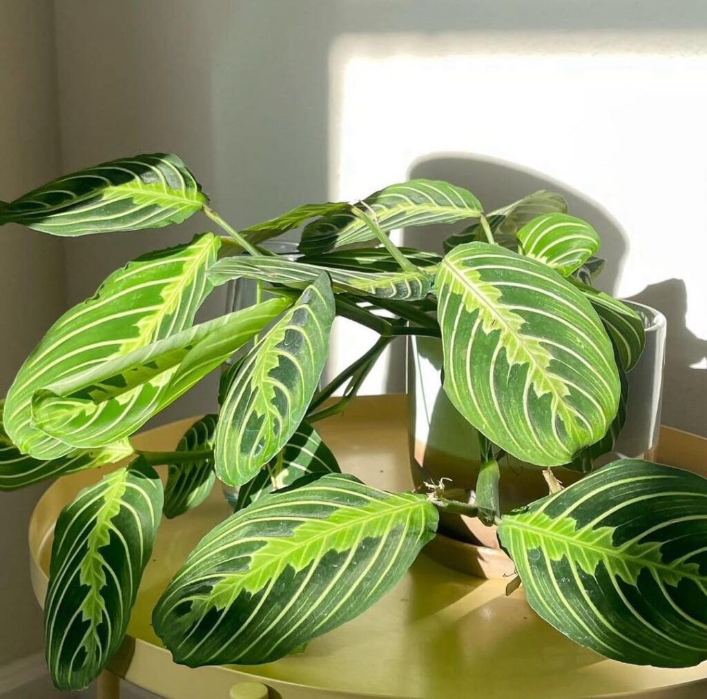 How it started vs how it’s going