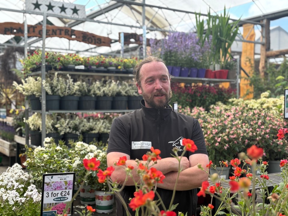 Man standing in a plant nursery.
