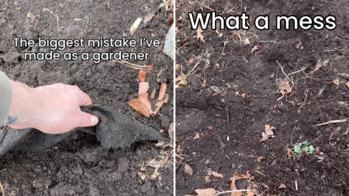 "Took a season and a half to remove my 'quick solution.'"