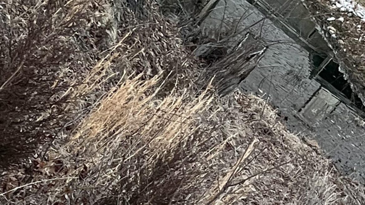 "There are very strict laws."