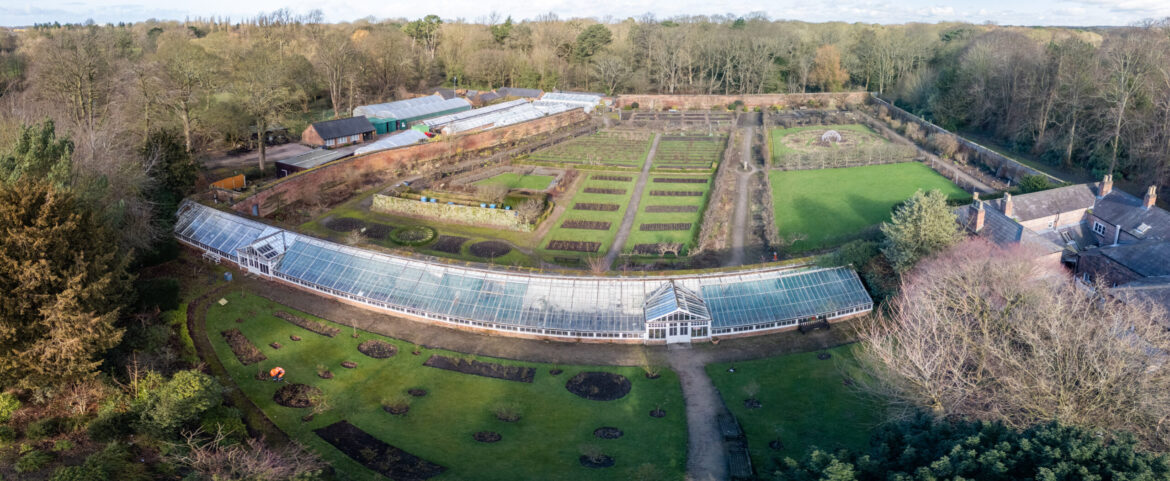 Step into Croxteth Hall’s Walled Garden this summer Step into Croxteth Hall’s Walled Garden this summer