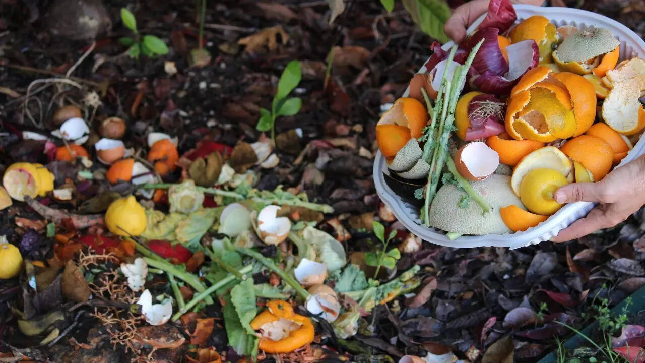 Improve soil aeration and compost organically