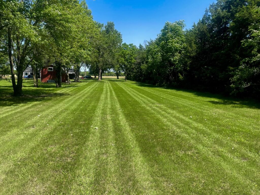 Maintaining my 3 acre lawn has been a challenge, but finally getting things looking nice