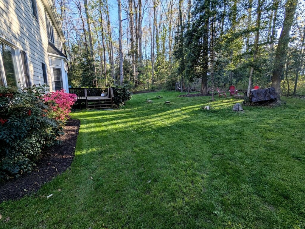 Weed & Feed Killed My Lawn (Virginia) Weed & Feed Killed My Lawn (Virginia)
