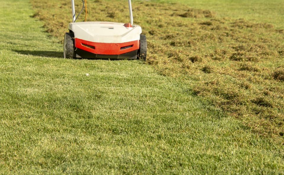 Now is a good time to scarify lawns