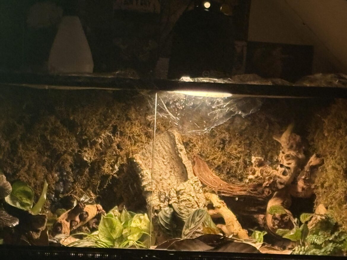 Work in progress Work in progress