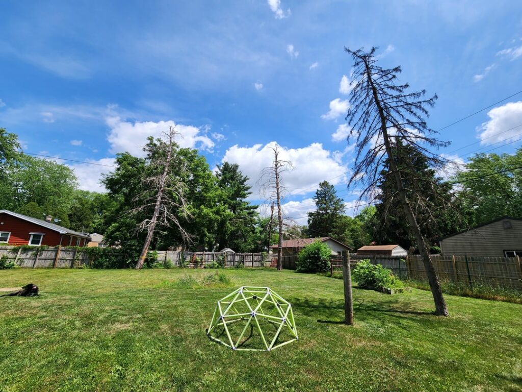 Is $2100 too much for dead tree removal?