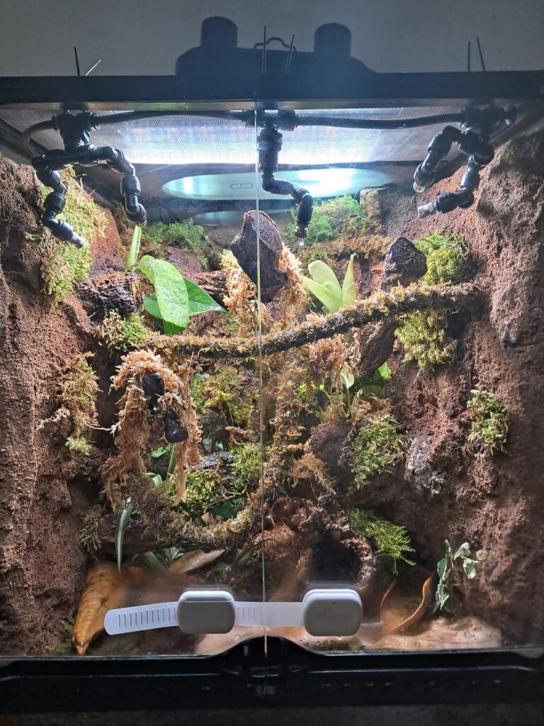 First vivarium