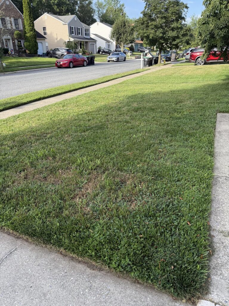 Why is my grass browning ? Why is my grass browning ?
