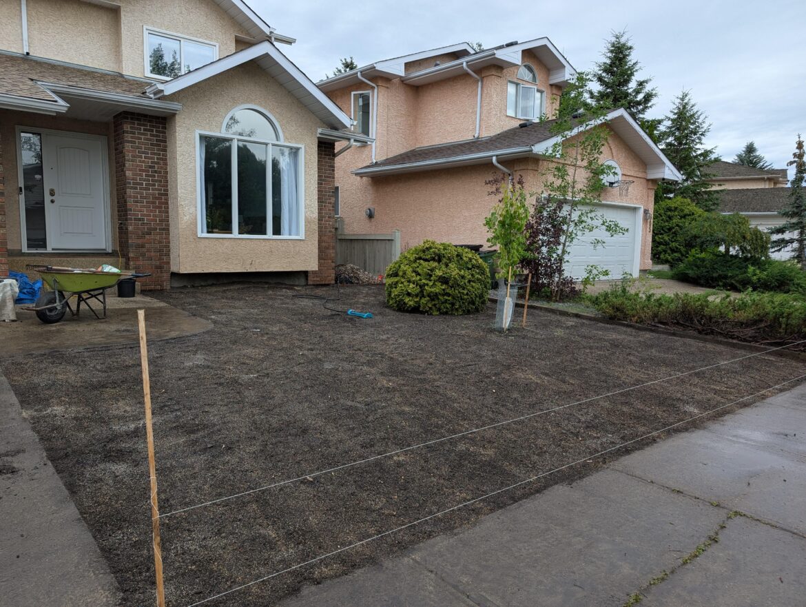 Seeded today in Alberta, Canada... Will I regret it?