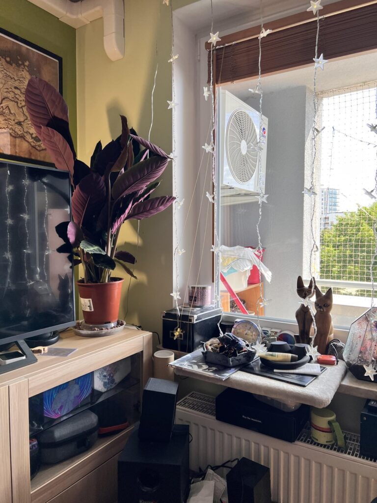 Giving the species a second try Giving the species a second try
