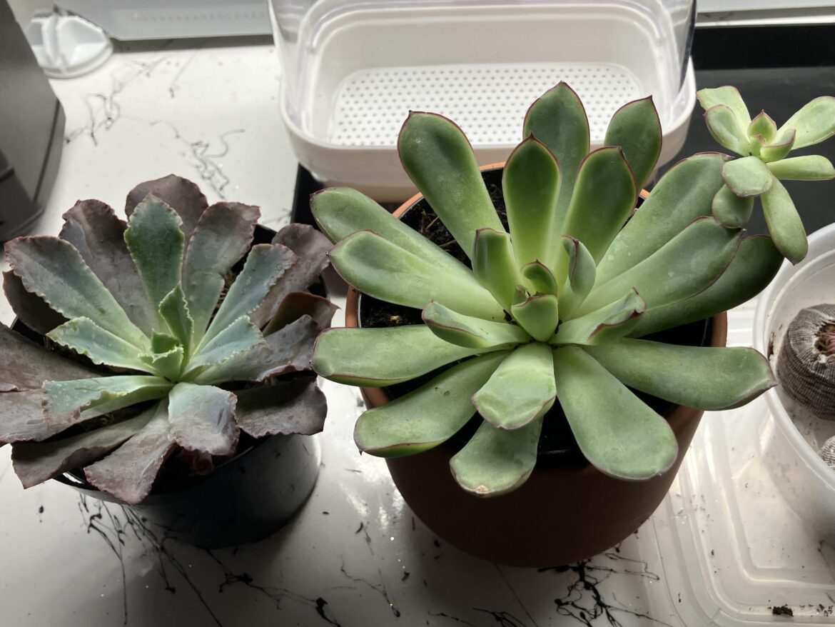 Getting started, wish me luck!