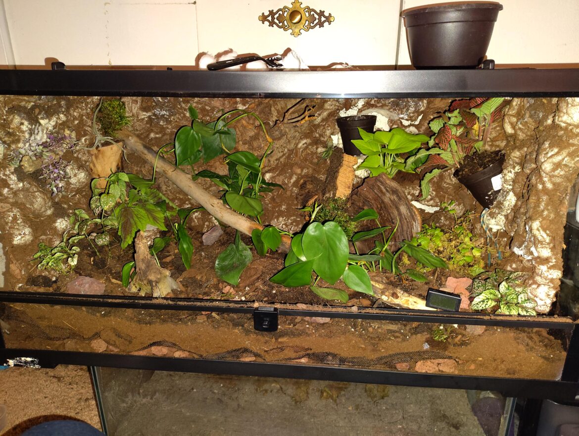 I started this and don't really know if I like it or not. How can I improve?