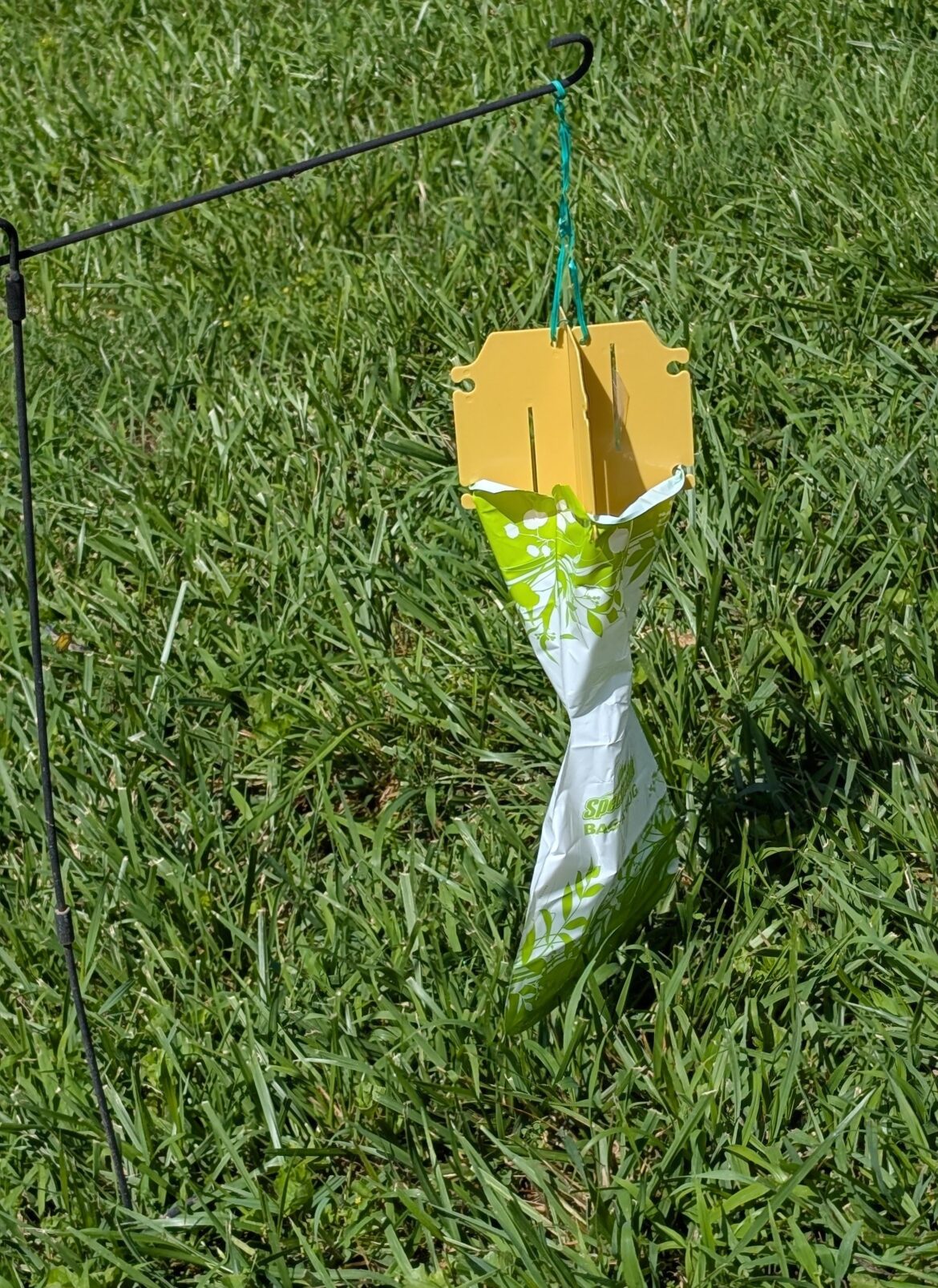 I declare war on Japanese beetles. They say don't place the traps near your house or garden because they will attract them - but I already have squadrons flying around. Shouldn't I place them near where they are?