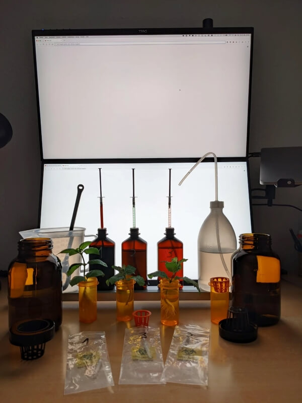 The comment section on the Reddit post was filled with support and uplifting comments.