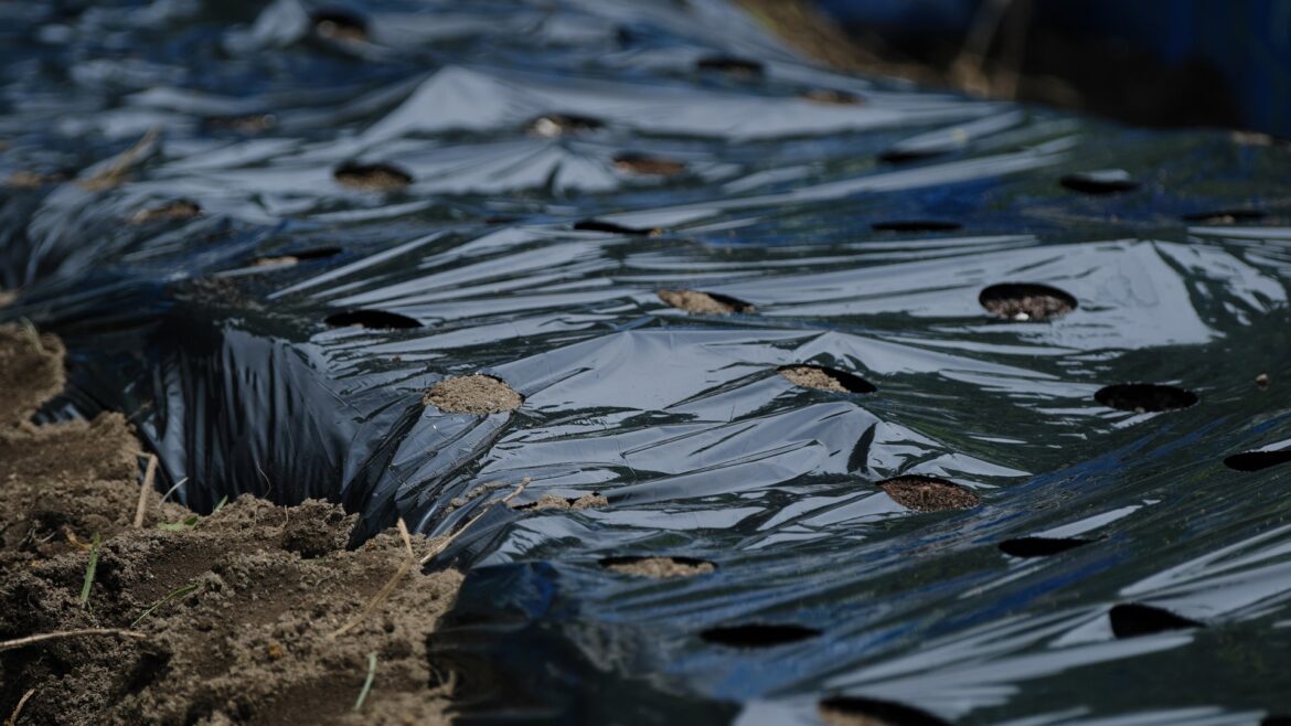 ‘Are there any drawbacks to this?’ "You are better off using cardboard boxes."