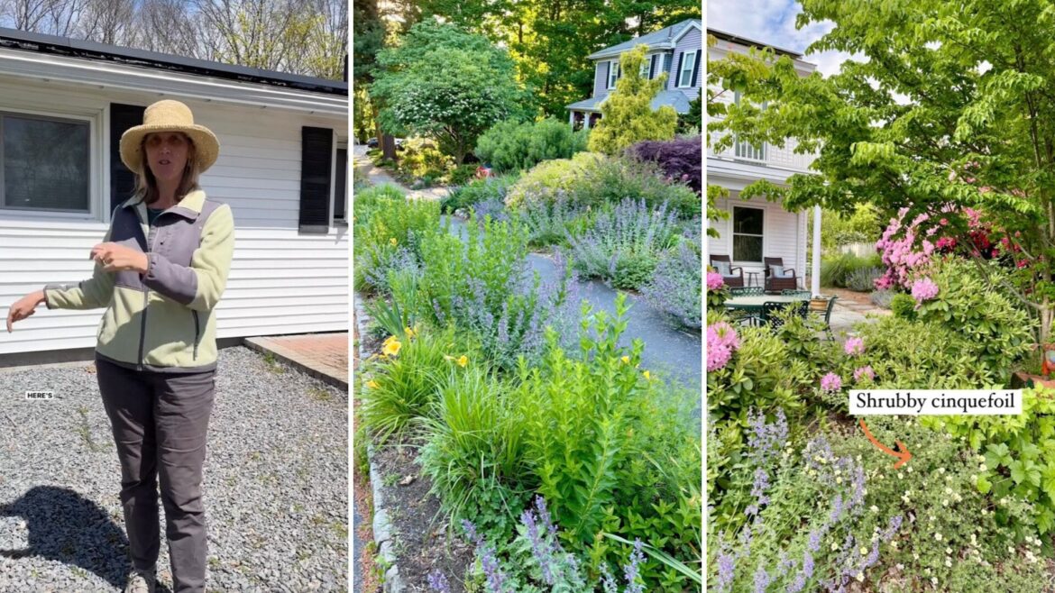 It's a plague on just about any garden.