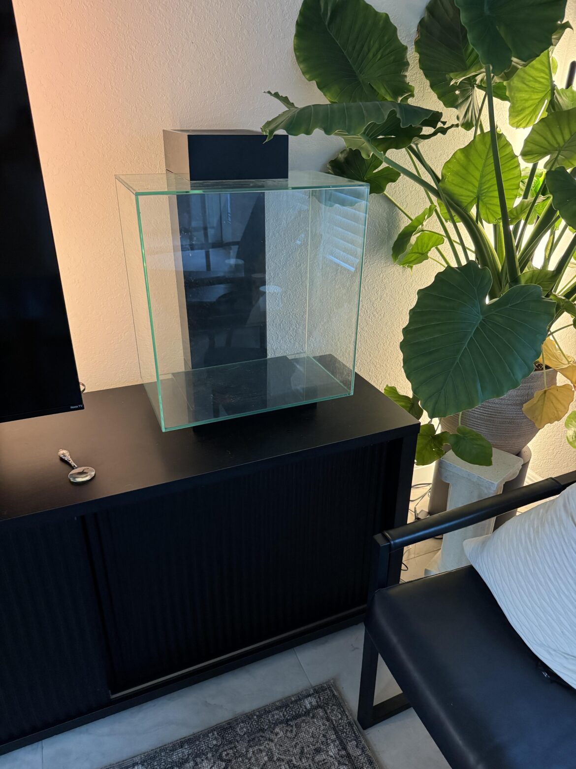 What should I build?!