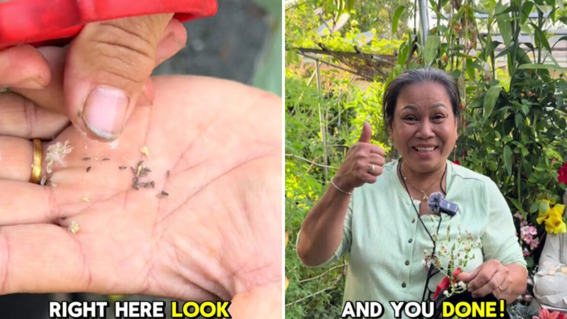 Gardener shares easy hack to grow seemingly endless supply of popular produce: ‘So simple and productive’ "I'm learning so much."