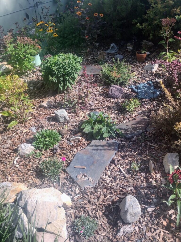 A few progress pics! A few progress pics!