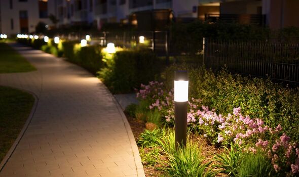 Picture of solar powdered lights
