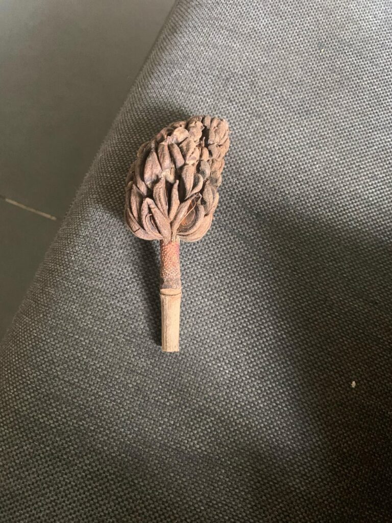 My gf found this and we both can’t figure it out