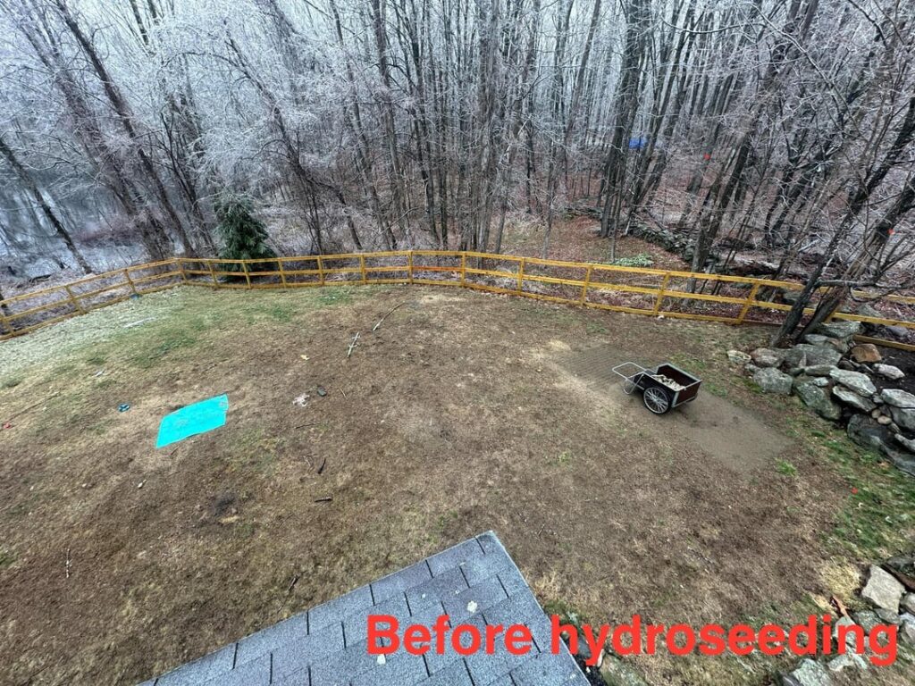 Hydroseeding Expectations Hydroseeding Expectations