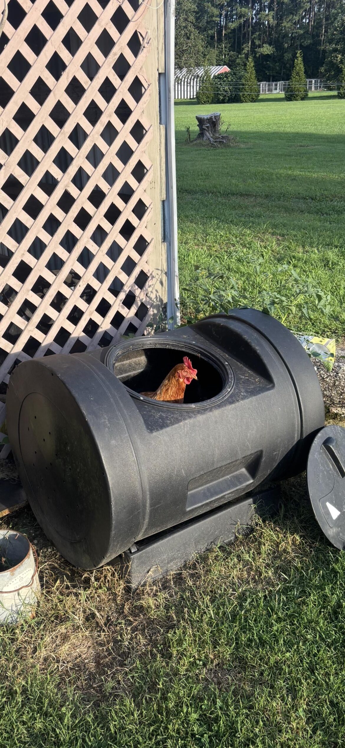 Anyone else have a helper?