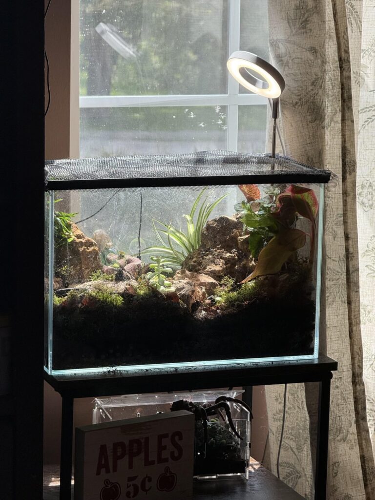 Nano vivarium stocking help