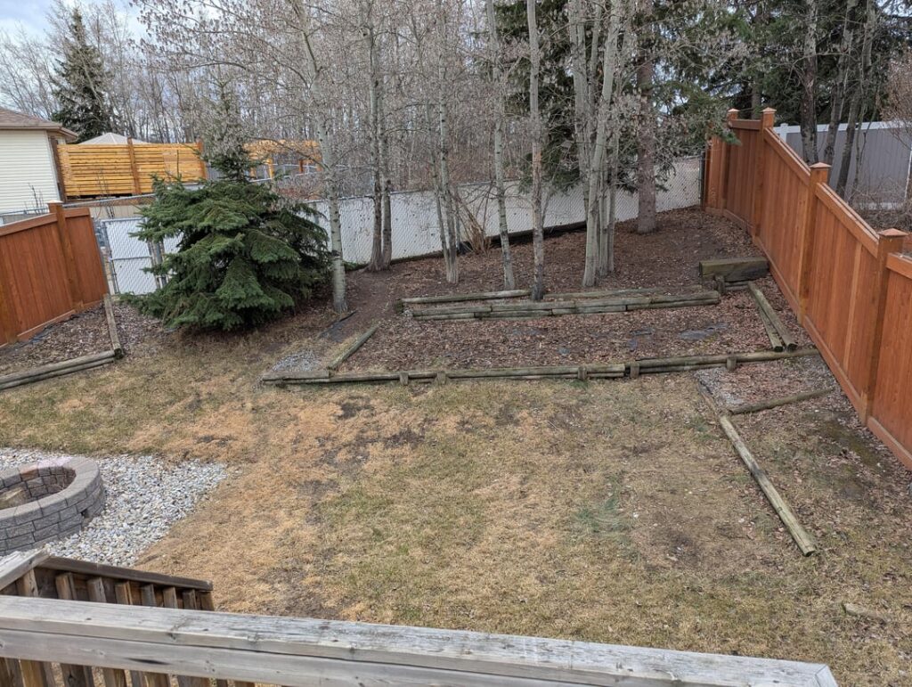 The lawn when I took possession of my house vs 4 months later