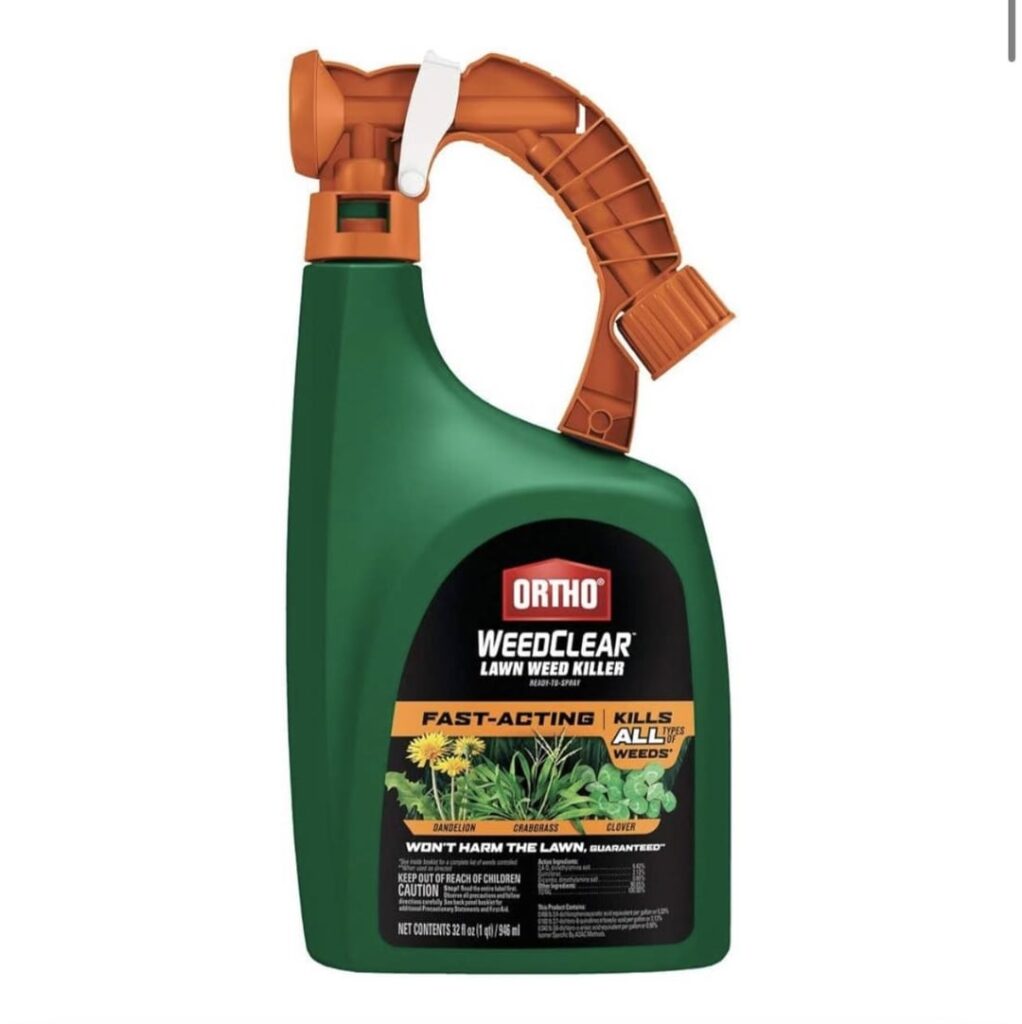 I’m spraying all these and no one can stop me I’m spraying all these and no one can stop me