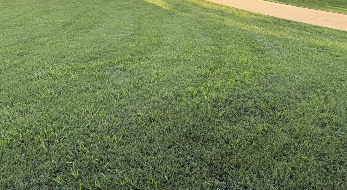 What should I use to treat this?