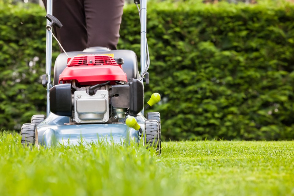 Person mowing a lawn with a lawnmower.