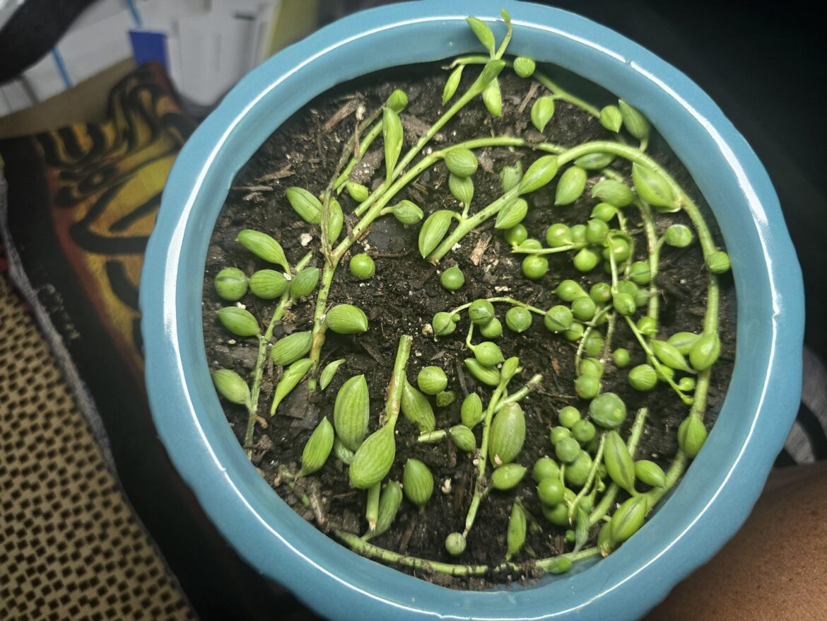 What am I doing wrong with my prop