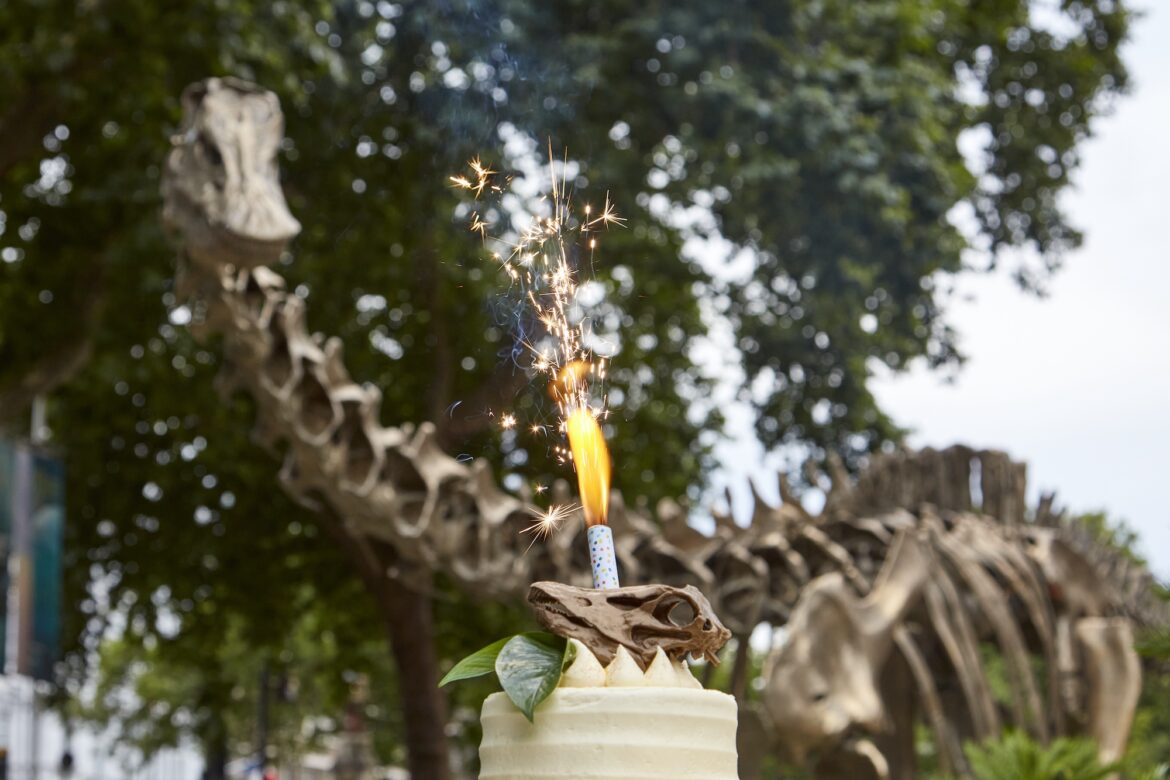 Natural History Museum gardens attract 5 million guests