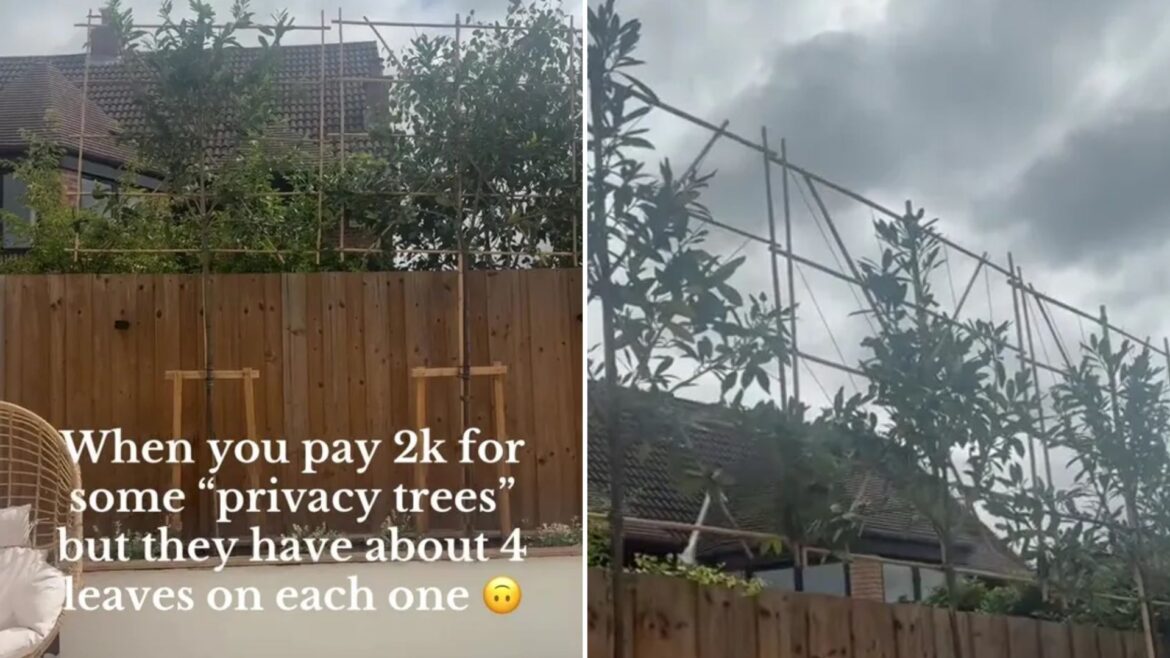 I forked out £2k on a blackout privacy fence – but I forgot about an important step & now everyone can still see in I forked out £2k on a blackout privacy fence - but I forgot about an important step & now everyone can still see in