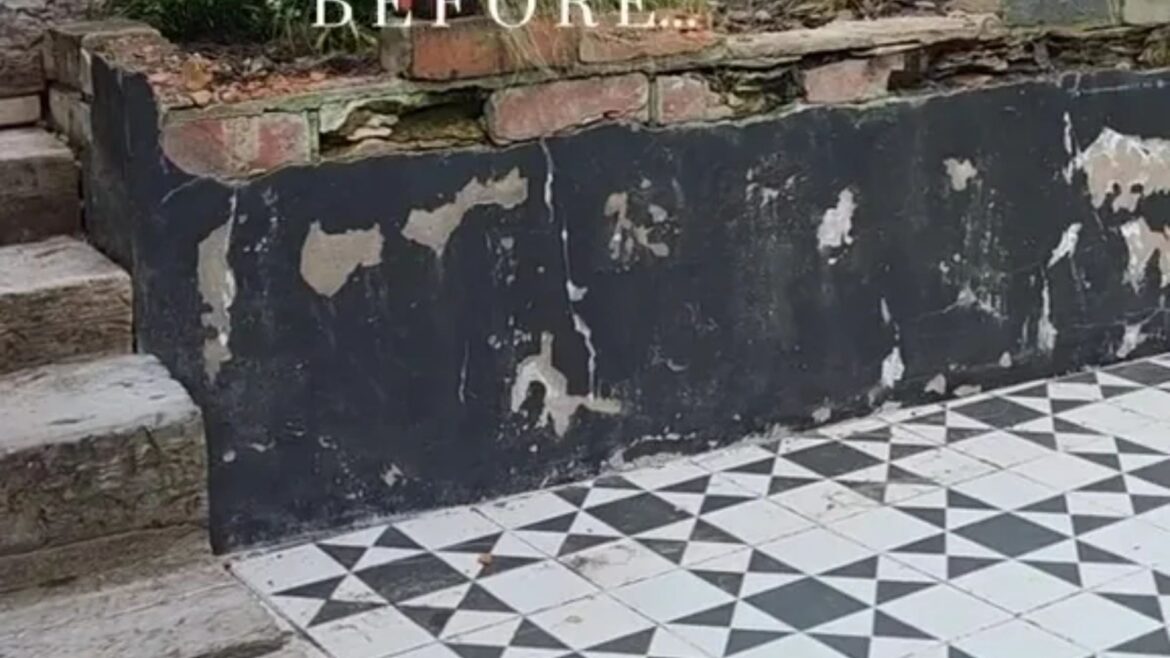 I swear by my secret hack to hide ugly garden walls & other messes – it’s all thanks to two cheap buys from Wickes I swear by my secret hack to hide ugly garden walls & other messes - it's all thanks to two cheap buys from Wickes