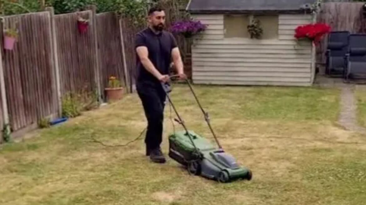 I'm a gardening pro - five tips to ensure you have the best lawn on the street, including the exact time to mow